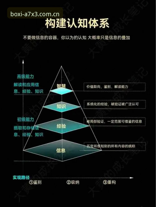 博喜功能大全 6个关键维度全面解读博喜功能大全:从入门到精通的完整指南