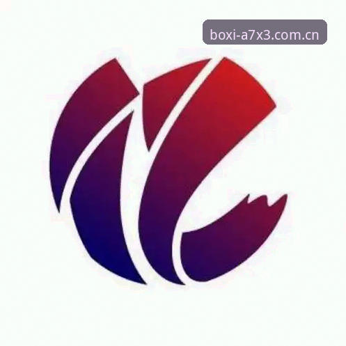 博喜体育官网vs常规平台：手机注册登录教程与极致体验全对比